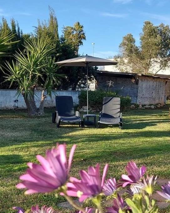 Chalet Del Mare Panzió Porto Cesareo Kültér fotó